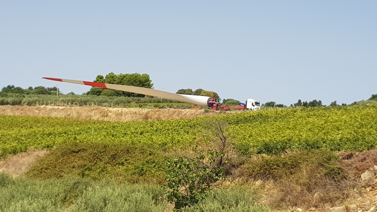A large wind turbine blade on a trailer in a vineyard under a clear sky.