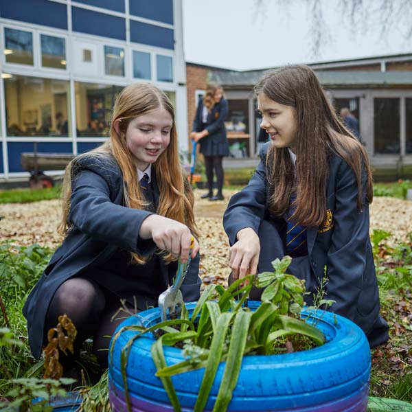 Two students engaged in gardening activities, using tools to tend to plants in a colourful tyre planter.