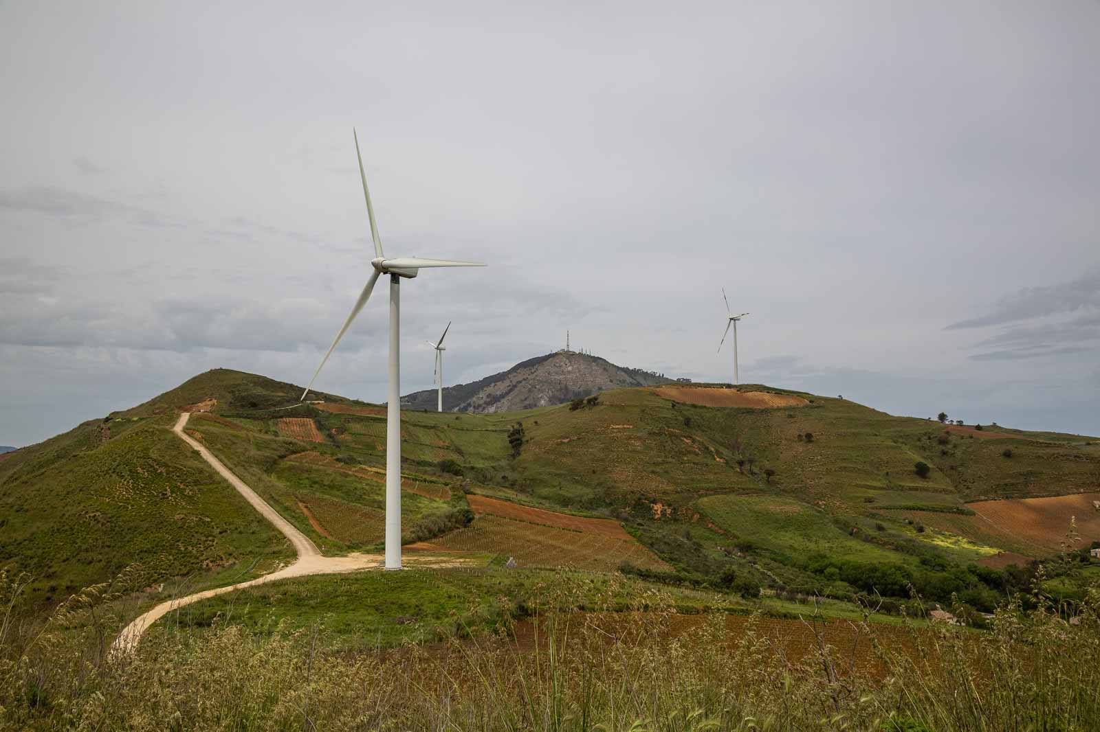 A landscape featuring wind turbines on rolling hills, with a dirt path leading through green fields under a grey sky.