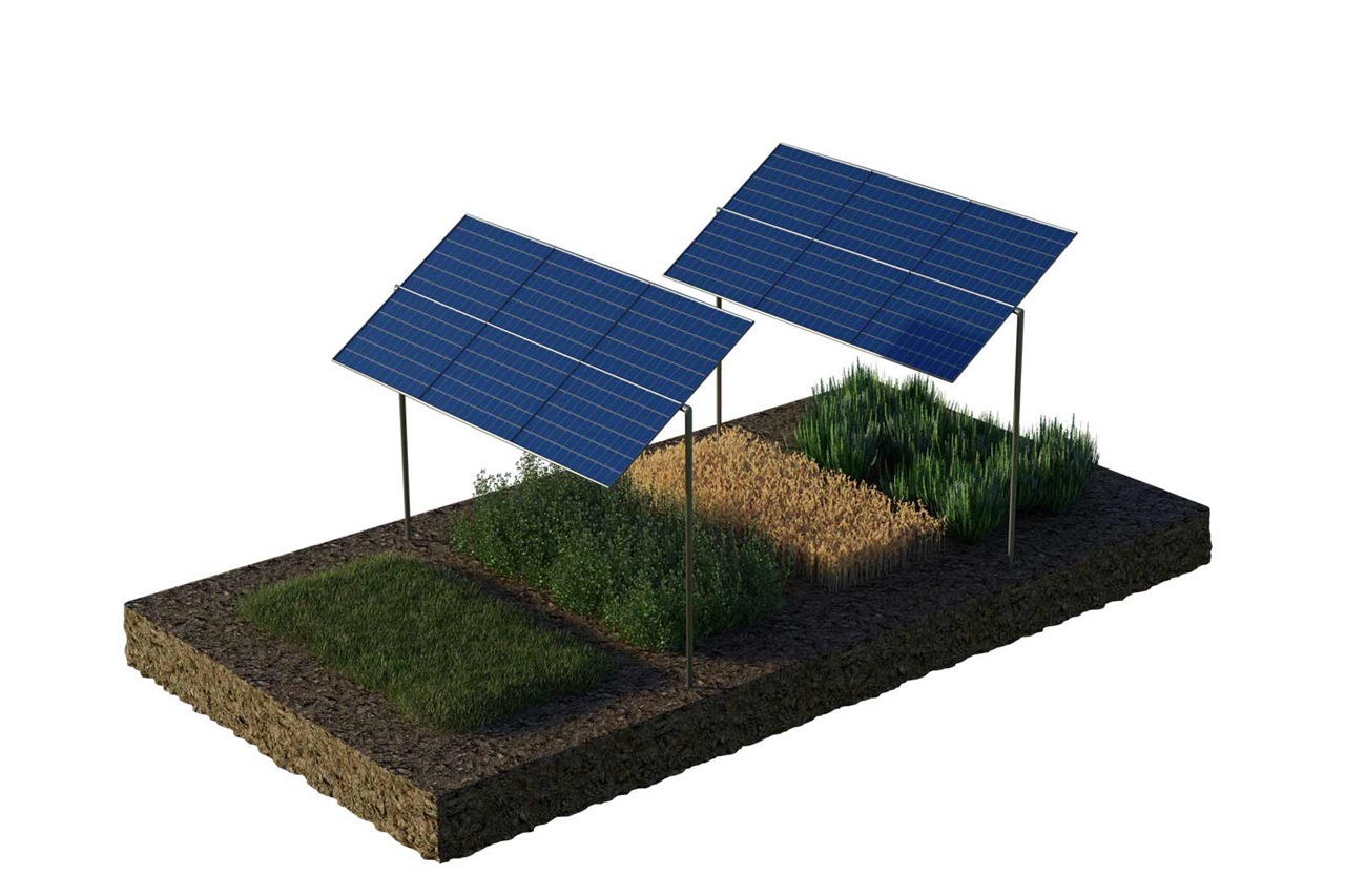 Un'installazione di pannelli solari sopra terreni coltivati con vari raccolti come grano ed erbe.