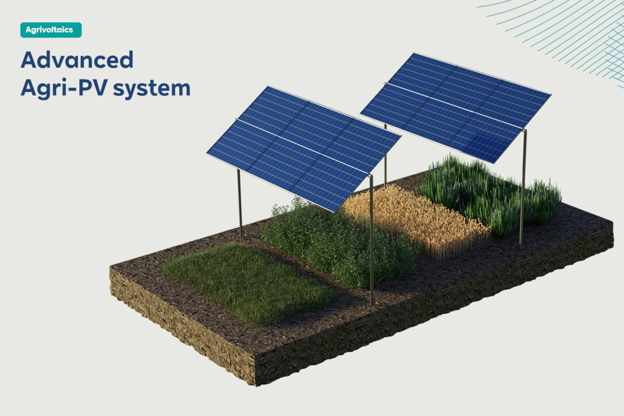 A modern Agri-PV system featuring two solar panels above green crops and a patch of wheat on a soil base.
