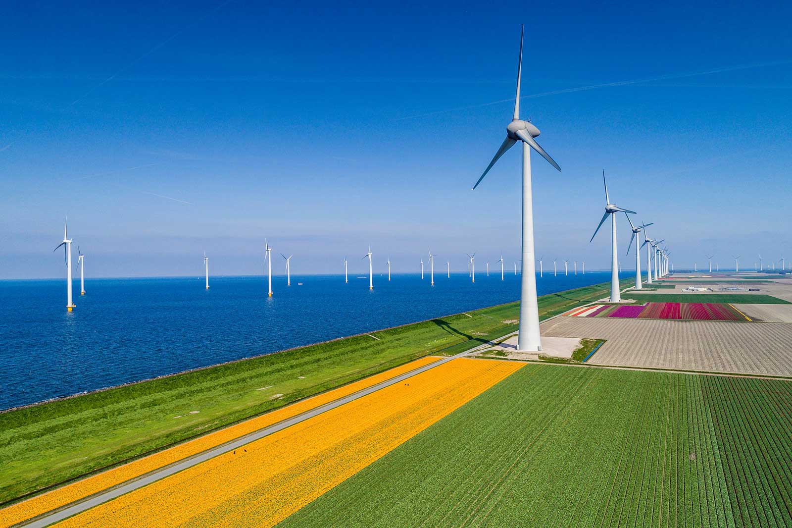 RWE Image