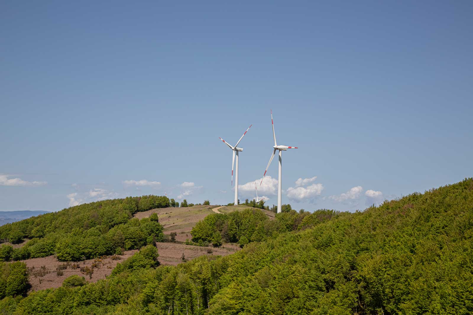 RWE Image